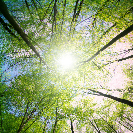 A Secret Key to Healing and Growth